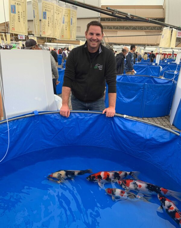 21052-Azukari-Showa-Seikiguchi-2e-prix-Nogyosai-2023-Koi-Show Koi Show Nogyosai - Showa seikiguchi