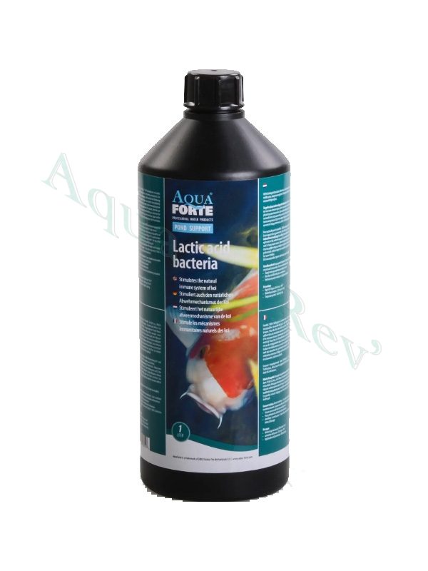 Bactéries lactobacilles - Aquaforte