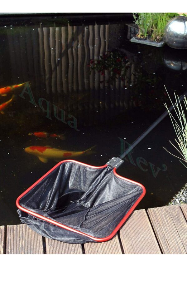 Epuisettes-JBL-bassin