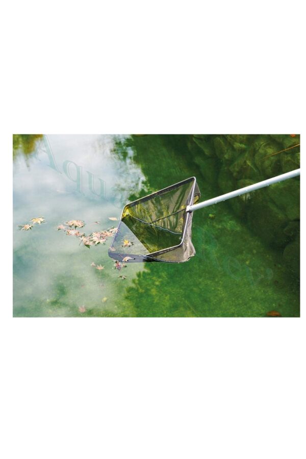 Epuisettes Oase - nettoyage bassin 1