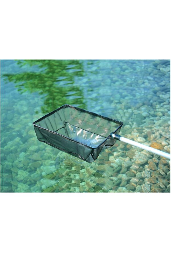 Epuisettes Oase - nettoyage bassin 2