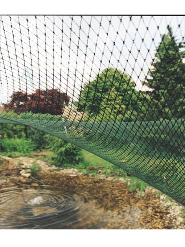 Filet de bassin AquaNet tendu