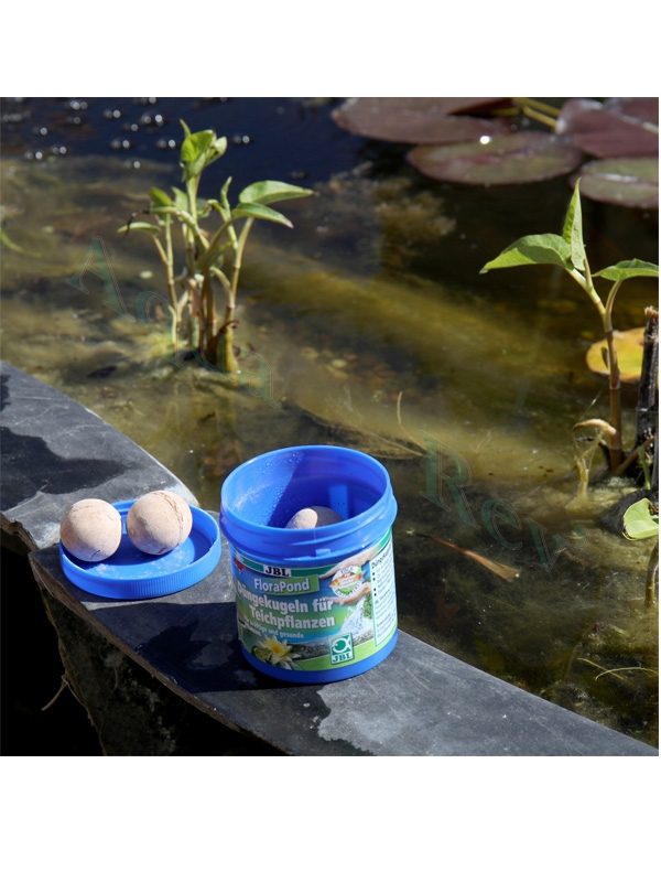 Florapond ouvert jbl