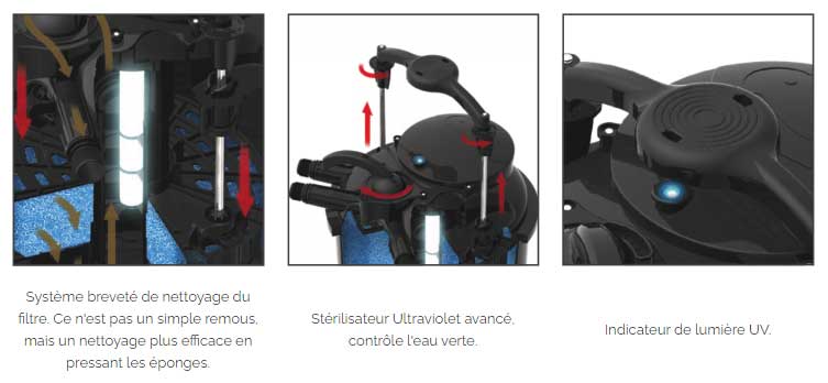 green reset avantages