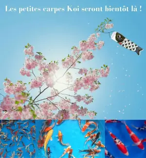 portes ouvertes aquarev 2025