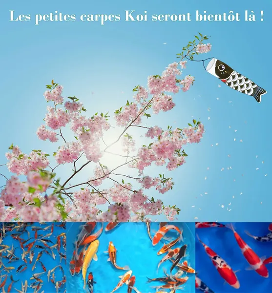 portes ouvertes aquarev 2025