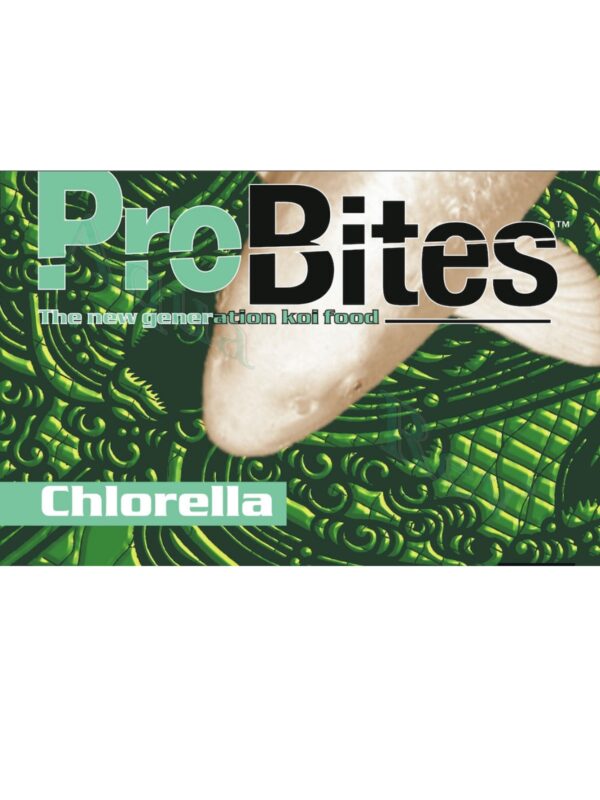 Probites-chlorella-flottant