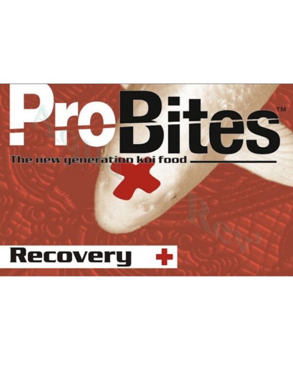 Probites-recovery