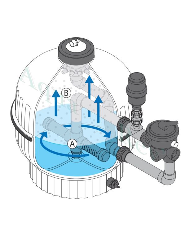Shark-bead-10--fluide