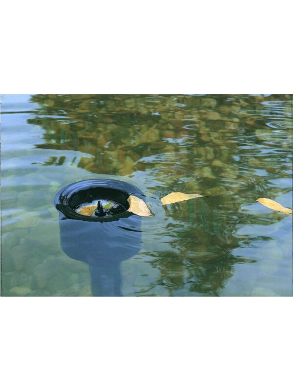 Skimmer Aquaskim 40 bassin - Oase