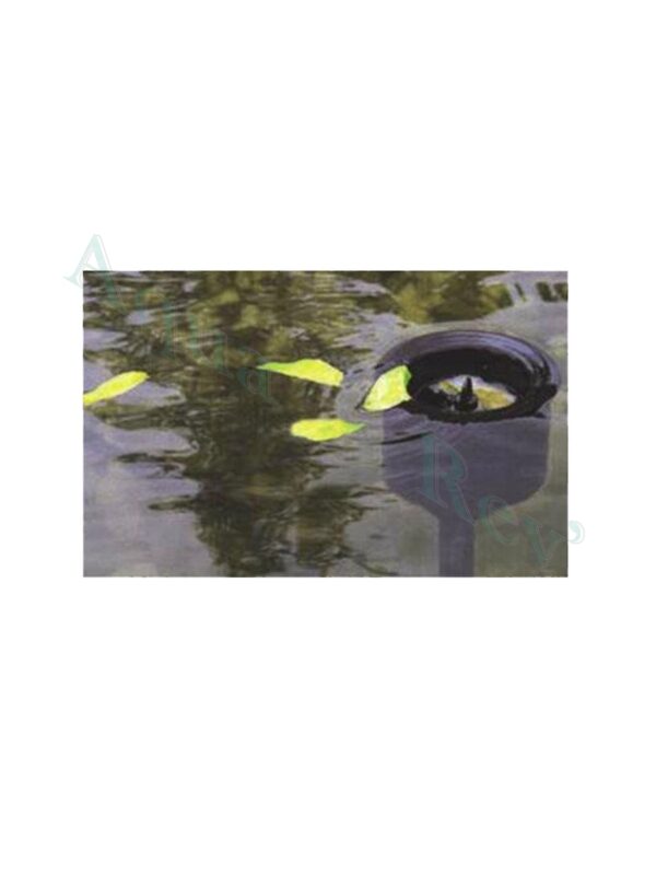 Skimmer sur support bassin Aquaforte