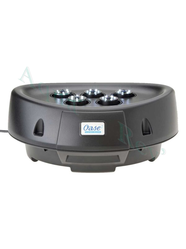 Water-starlet-oase Water starlet oase