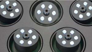 Water starlet oase ajutahes