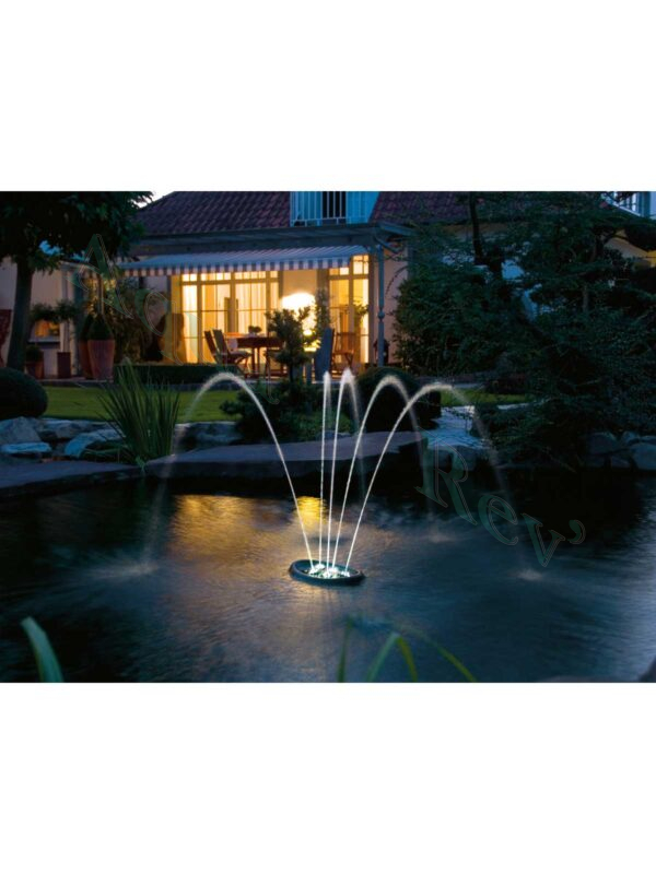 Water-starlet-oase-démo Water starlet oase démo