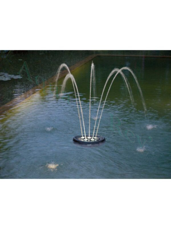 Water-starlet-oase-jets Water starlet oase jets