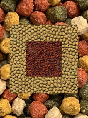 catégorie nourriture