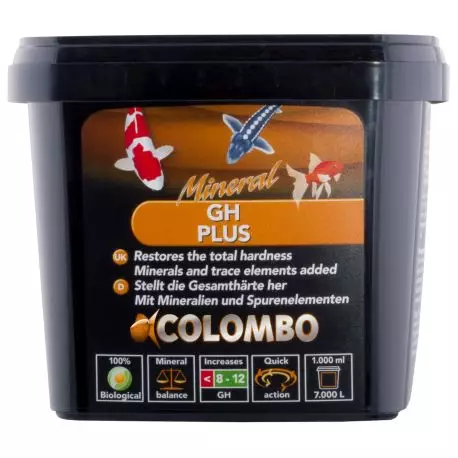 gh+ Colombo