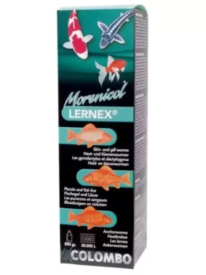 Lernex - colombo