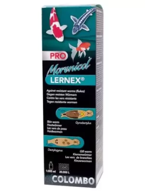 Lernex Pro - colombo