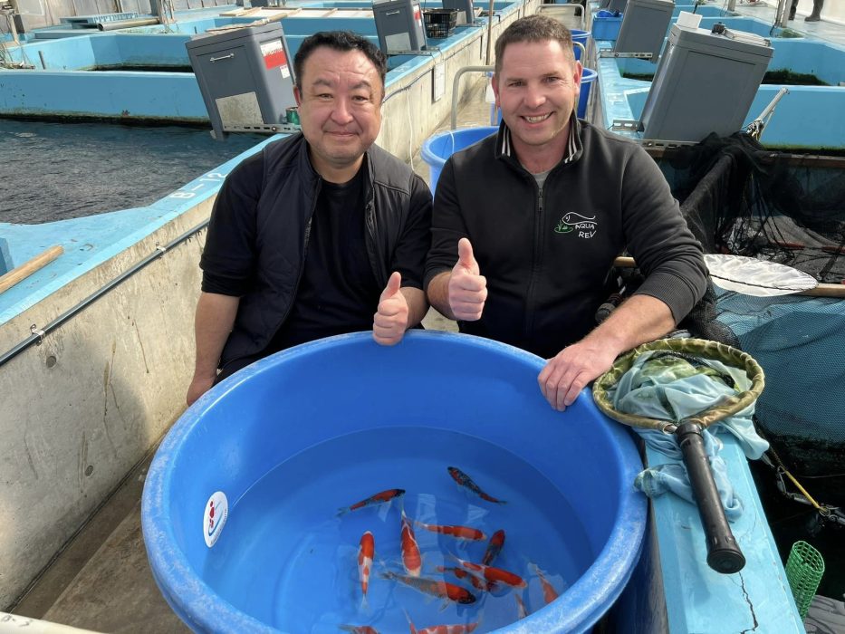 Sélection Tosai chez Kondo