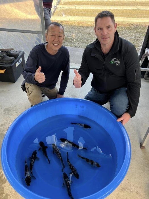 Sélection Tosai chez Oyama