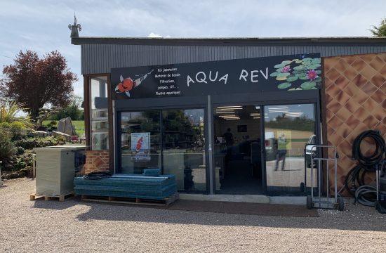 aquarev vente de carpe Koi et bassin