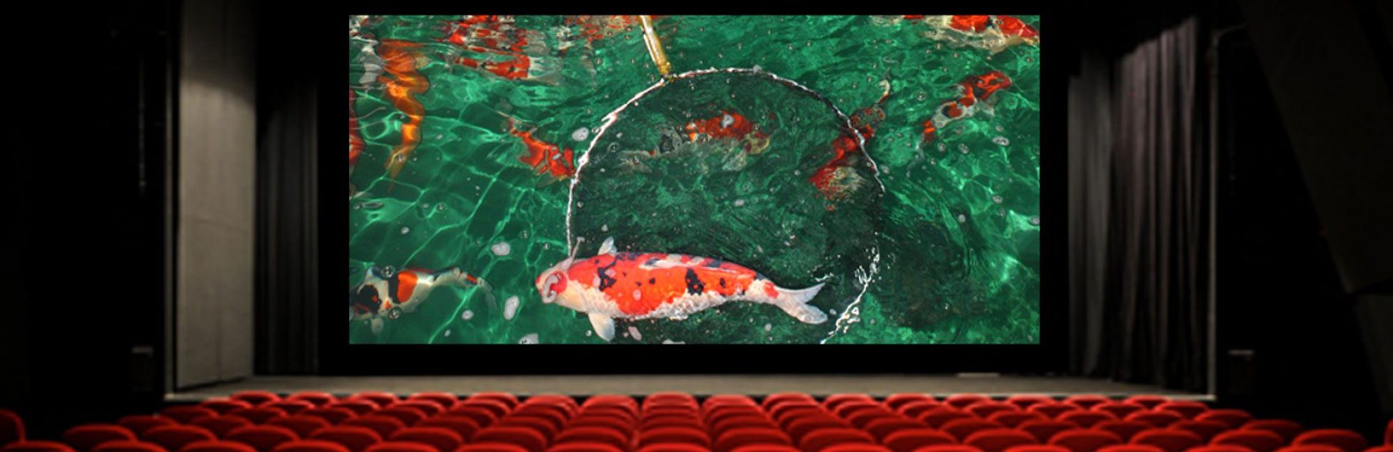 banière-avant-première