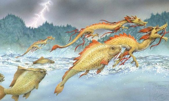 carpe koi : légende du fleuve jaune