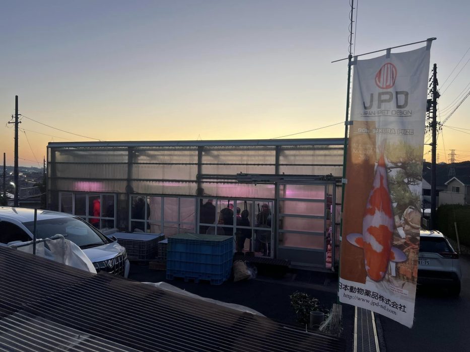 couché de soleil chez Maruyama