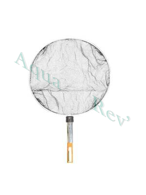 épuisette pour carpe koi