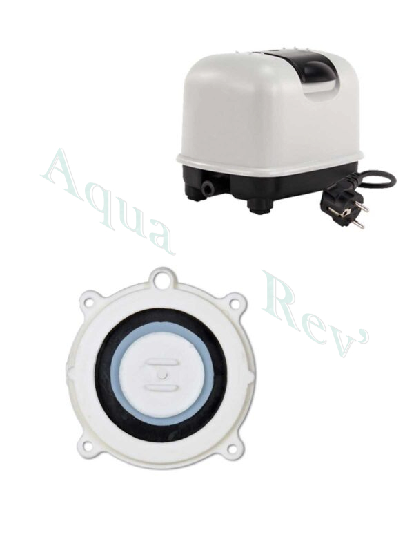 membrane-pompe-air-Dong-Yang-avec-pompe kit membrane pour pompe à air Dong Yang DY pompe