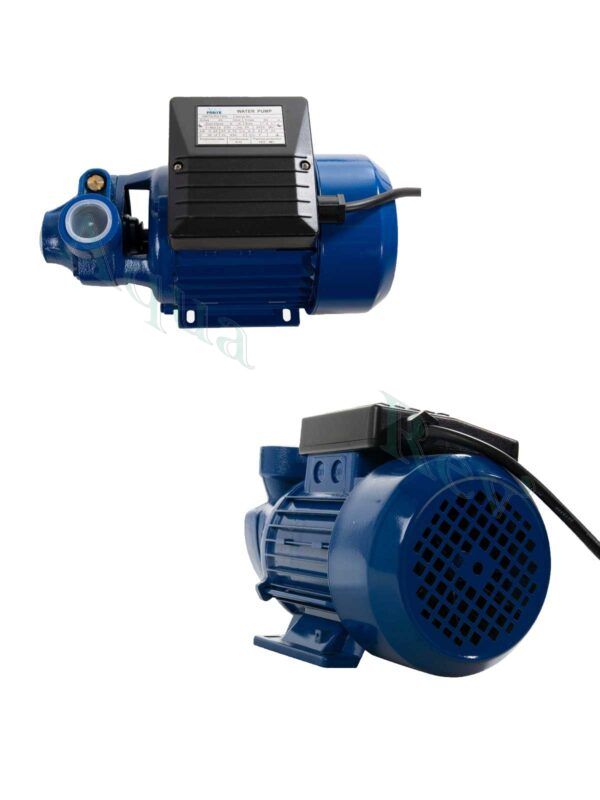 pompe de rinçage pour filtre à tambour