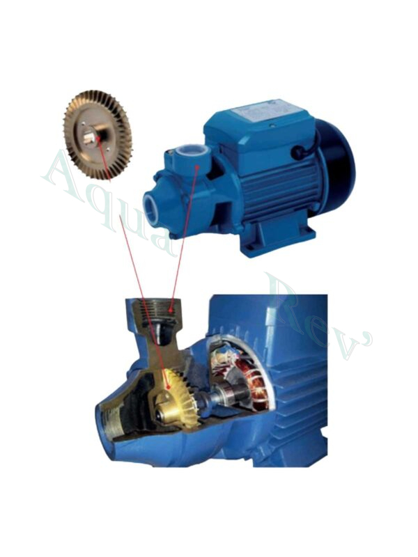 pompe de rinçage intérieur